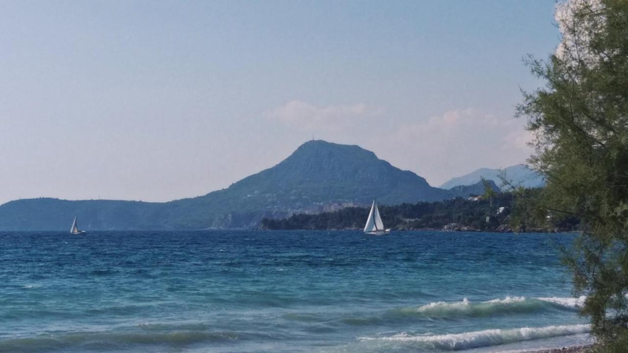 Apartments Kuce Lekovica Beach & Snack Bar- Bistro Luaran gambar